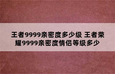 王者9999亲密度多少级 王者荣耀9999亲密度情侣等级多少